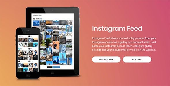 instagram-feed-gallery-pro
