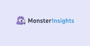 Monsterinsights Ads Addon