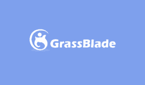 Learndash – Grassblade – Xapi Companion