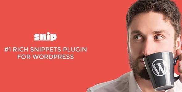 Rich Snippets Wordpress Plugin