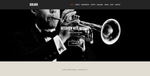 Cssigniter – Berliner Wordpress Theme