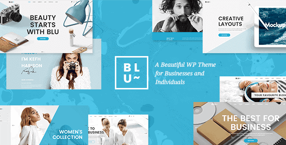 Blu – A Beautiful Theme For Businesses And Individuals