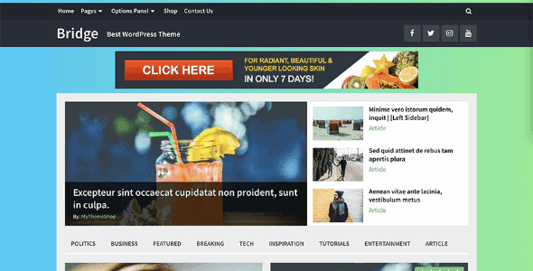 Bridge – Multipurpose Wordpress Theme
