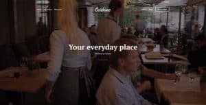 Cssigniter – Carbone Wordpress Theme
