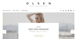 Cssigniter – Olsen Wordpress Theme
