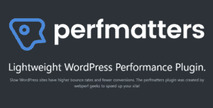 Perfmatters – The #1 Web Performance Plugin For Wordpress