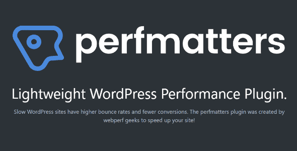 Perfmatters – The #1 Web Performance Plugin For Wordpress