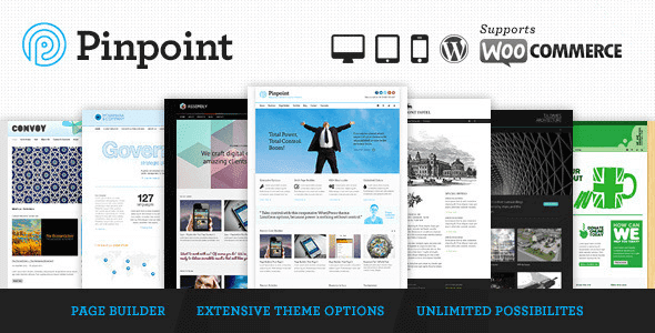 Pinpoint – Responsive Multi-Purpose Wp Theme