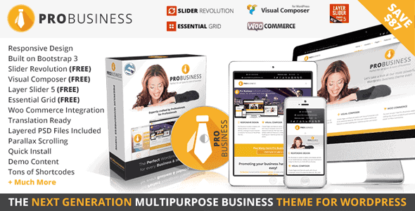 Pro Business – Responsive Multi-Purpose Theme