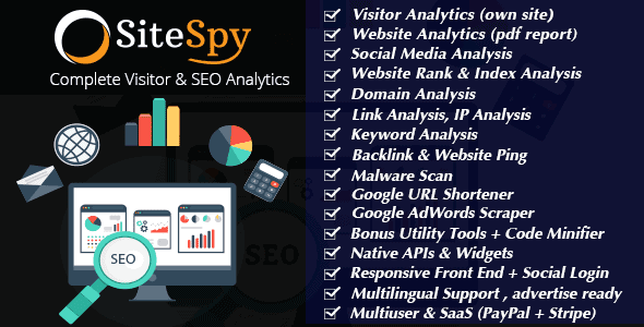 seo analytics