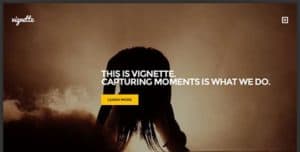 Cssigniter – Vignette Wordpress Theme