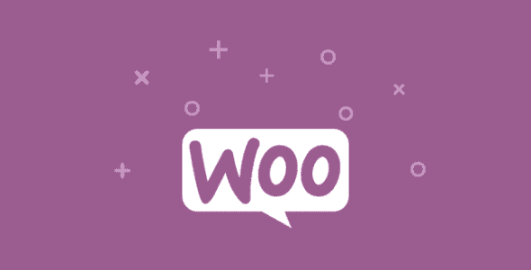 WP ERP – Woocommerce Integration