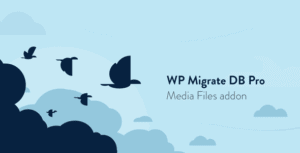 wp-migrate-db-pro-media-files-addon