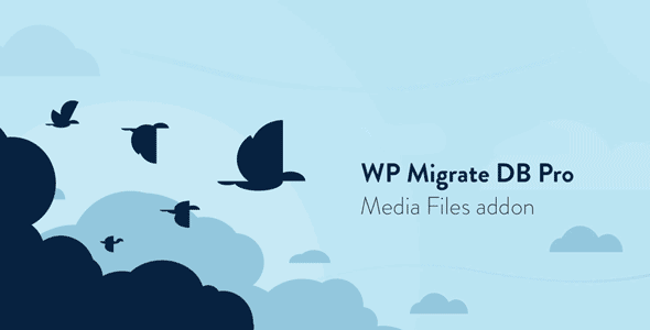 WP Migrate DB Pro – Media Files addon