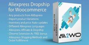 AliExpress-Dropshipping-Business-for-wordpress