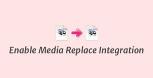 searchwp-enable-media-replace-integration