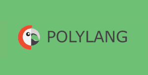 Searchwp – Polylang Integration