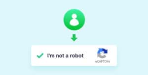 directorist-google-recaptcha