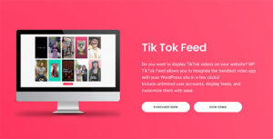 tiktok-feed-pro