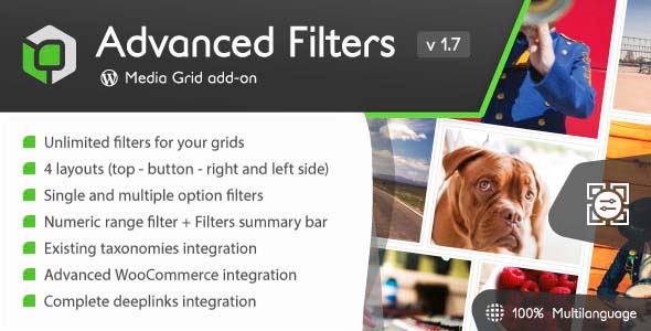 advanced-filters-media-grid-addon